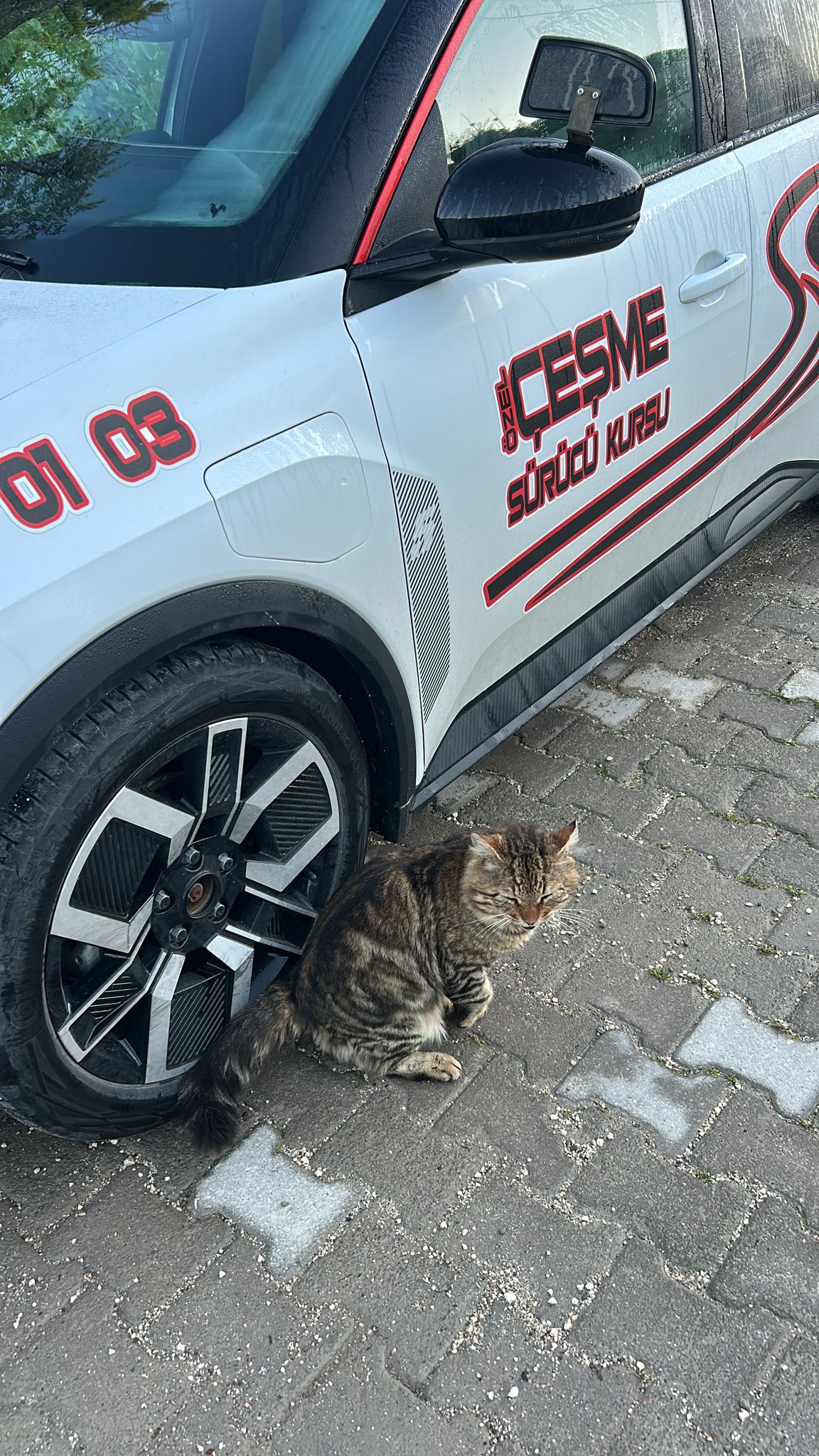 Özel Çeşme Sürücü Kursu